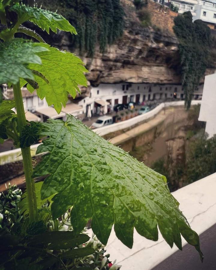 Casa Bajo La Roca Villa Setenil De Las Bodegas Екстериор снимка